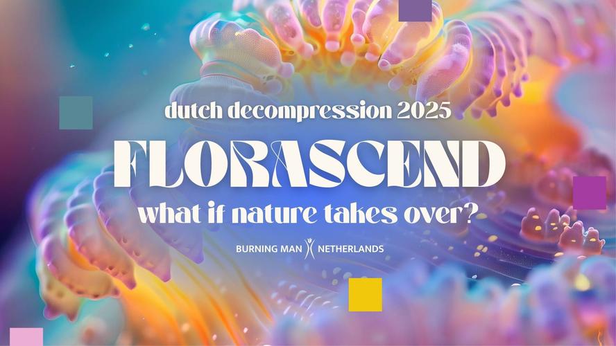 Dutch Decompression 2025