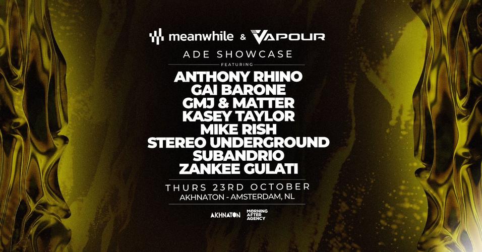 Meanwhile & Vapour Recordings Showcase